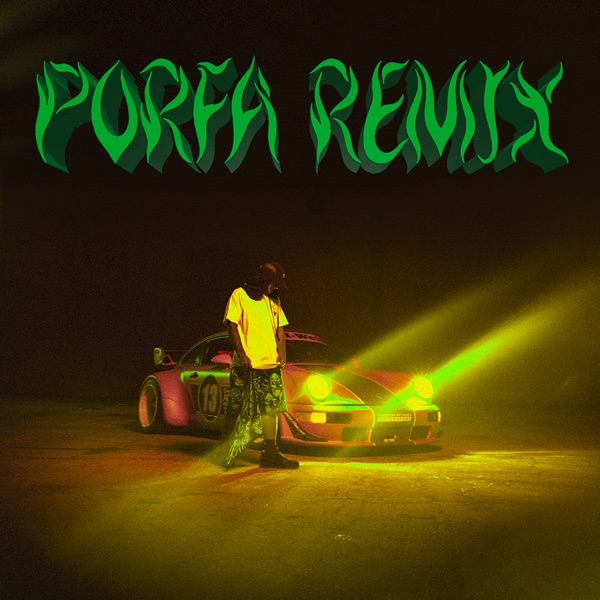 Feid, J Balvin, Maluma, Nicky Jam, Sech & Justin Quiles - PORFA (Remix)