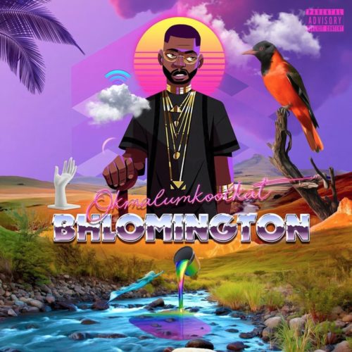 EP: Okmalumkoolkat - Bhlomington