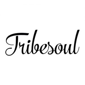 TribeSoul & Fox Lezinto - Winter Breeze