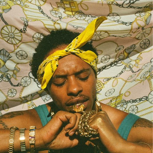 ALBUM: Pink Siifu - ensley