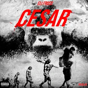 Album: Eli Fross - CESAR