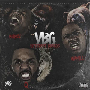 Album: Bubev, Wamilli & Q - Different Breeds