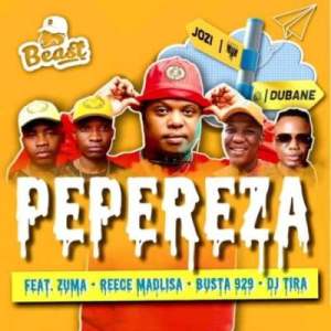 beast – pepereza ft. dj tira reece madlisa zuma busta 929