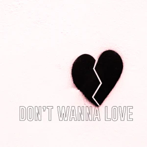 dont wanna love radio edit single john dahlbäck melanie fontana