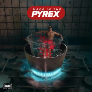 made in the pyrex bonus track digga d