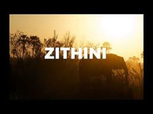 mr jazziq lady du zuma busta 929 – zithini prod. fibbs