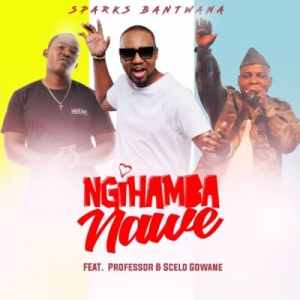 sparks bantwana – ngihamba nawe ft. professor scelo gowane