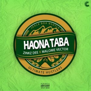 zinkz dee – haona taba ft malome vector