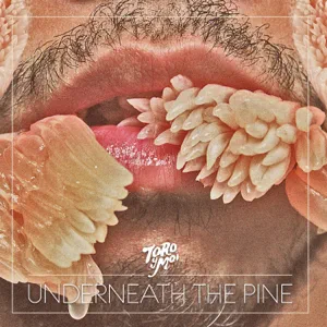 toro y moi underneath the pine