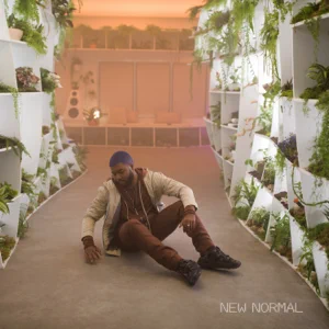 new normal single khalid