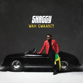 shaggy wah gwaan