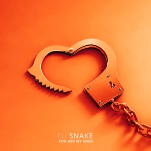 you are my high single dj snake