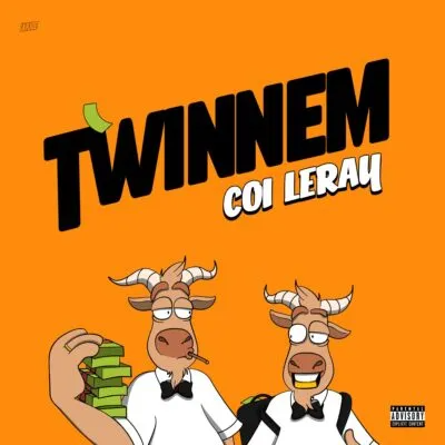 coi leray – twinnem