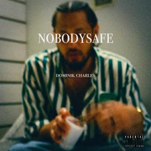 nobodysafe dominik charles