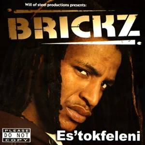 Estokfeleni Brickz