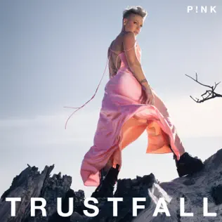 TRUSTFALL Pnk