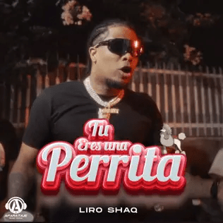 liro shaq – tu eres una perrita