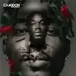 Camidoh Amaarae – Addicted