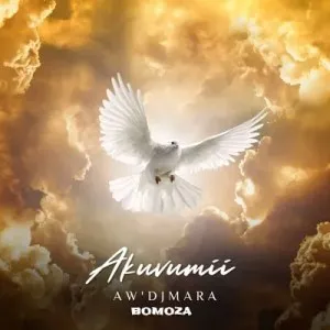 AwDjMara – Akuvumi