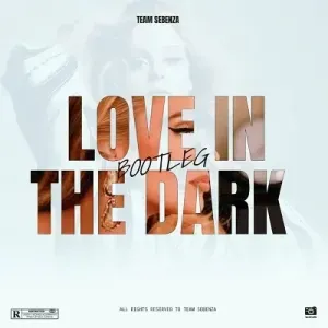 Team Sebenza – Love In The Dark Bootleg