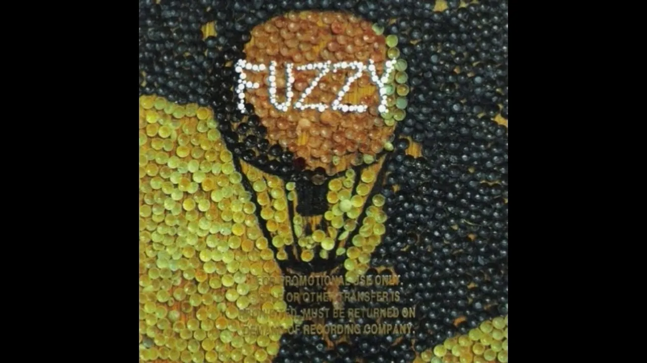 Fuzzy – Flash Light