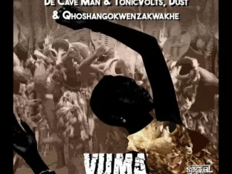 De Cave Man & TonicVolts, Dust N & uQhoshangokwenzakwakhe – Vuma