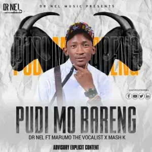 Dr Nel – Pudi Mo Bareng ft Marumo The Vocalist & Mash K