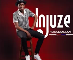 Injuze - Ngalivusa Ikhaya