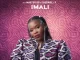 Nobuhle – Imali ft Master kg & Casswell P