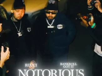 Notorious