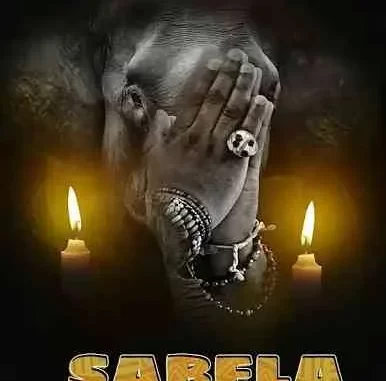 QuayR Musiq & LastbornDiroba – Sabela ft. Leemckrazy, Mellow & Sleazy