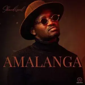 Skandisoul – Amalanga