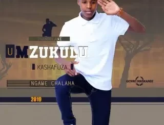 UMzukulu KaShafuza – Asambeni