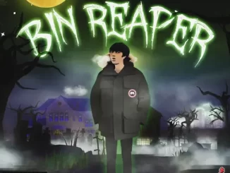 Bin Reaper