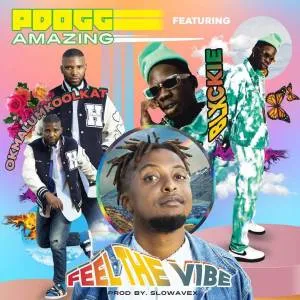 PDogg Amazing – Feeling The Vibe Ft. Okmalumkoolkat & Blxckie