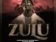 Pushkin RSA – ZULU ft. AMAQHAWE & Philharmonic