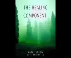 Woza Thobzin – The Healing Component ft. Malume K