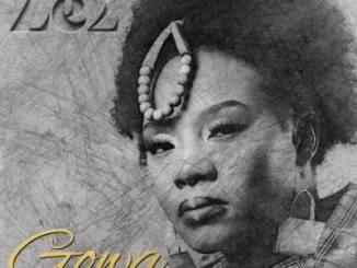 Ze2, OSKIDO & X Wise – Gowa (Ayoba Revisit)