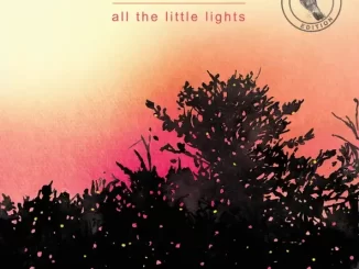 All The Little Lights (Anniversary Edition)