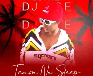 Album: DJ Ace - Team No Sleep