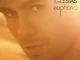 Enrique Iglesias Euphoria