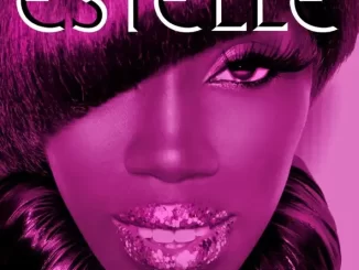 Estelle Freak (Remixes)