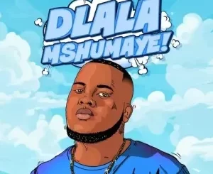 Shazmicsoul – Dlala Mshumaye Ft. CowBoii