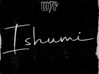 WTF – Ishumi