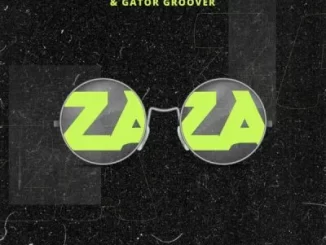 Wayne O, Mpho Spizzy, Stash Da Groovyest & Gator Groover – Zaza