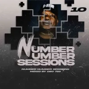 Dzo 729 – Number Number Session 10