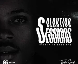 TribeSoul – Selektive Sessions 015 Mix