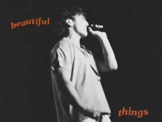 Beautiful Things (Alternate Versions)