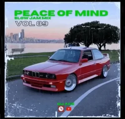 DJ Ace – Peace of Mind Vol 89 (28 July 2024 Slow Jam Mix)