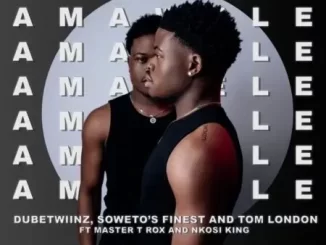 Dube Twiinz, Tom London & Soweto’s Finest – Amawele ft. Master T Rox & Nkosi King